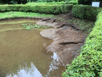 山中城跡　田尻の池　土砂流入　被災