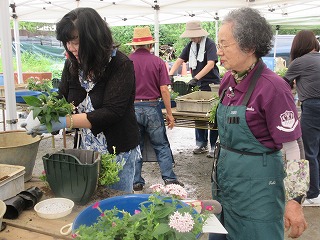 R7ハンギングバスケット第2回写真1