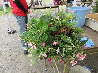 R7ハンギングバスケット第2回写真2