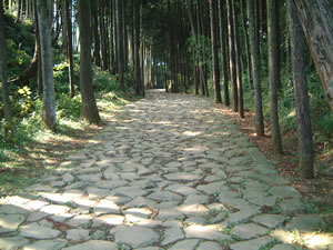 箱根旧街道石畳の画像1