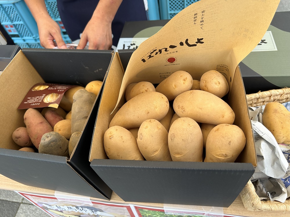 三島馬鈴薯祭り1