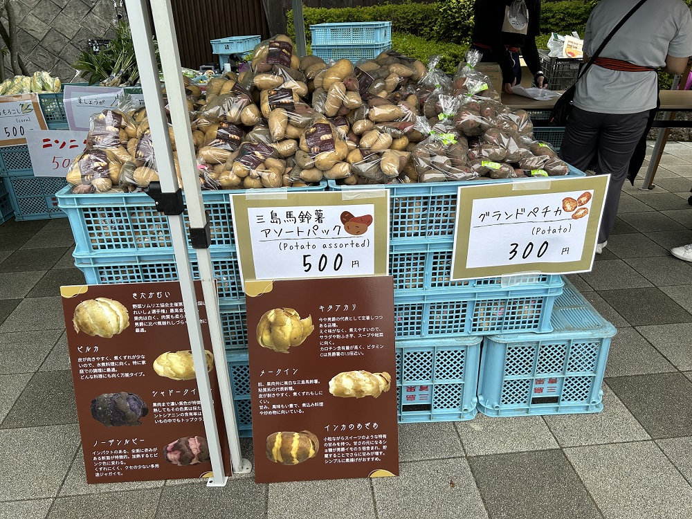 三島馬鈴薯祭り2