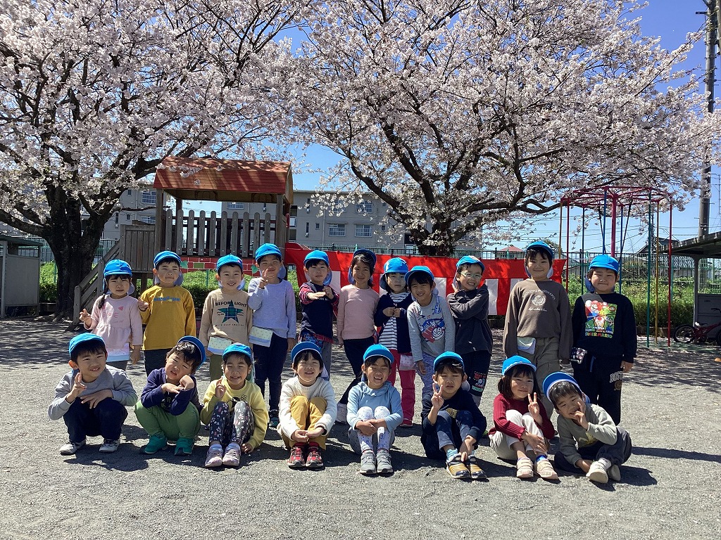 春のアルバム（お花見）