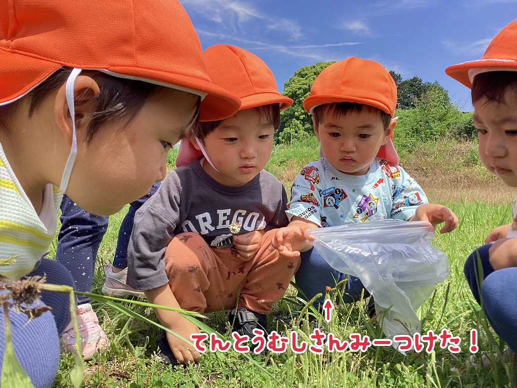 春のアルバム（畑）