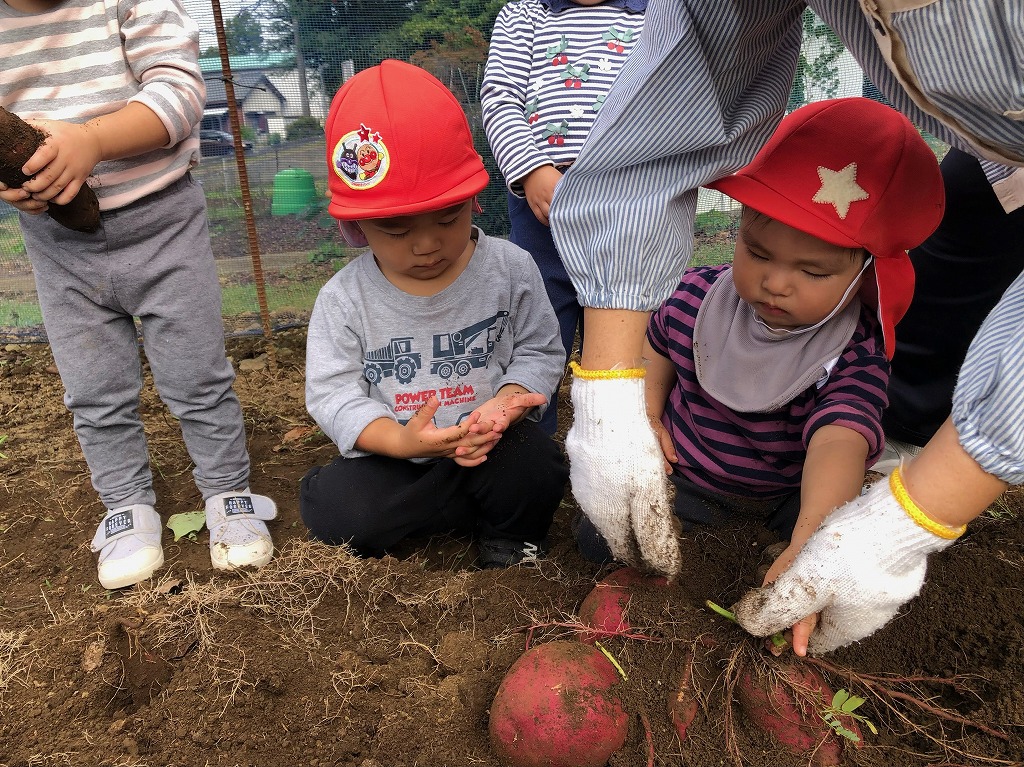 秋のアルバム（畑）