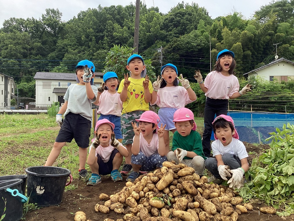 （収穫体験）