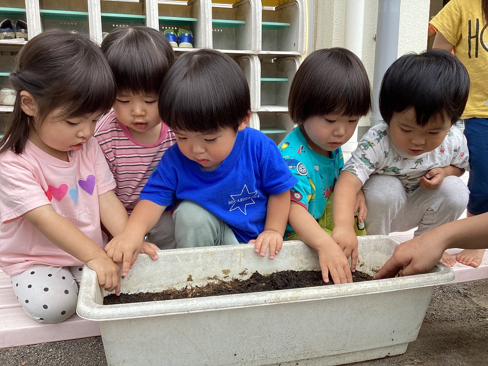 その他のアルバム（赤ちゃんのお世話）