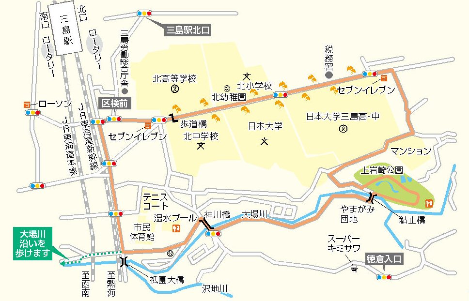 イチョウ並木ウオーキングコースの画像