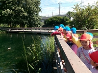 温水地を散歩する様子の画像