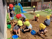 泥んこ遊びの画像