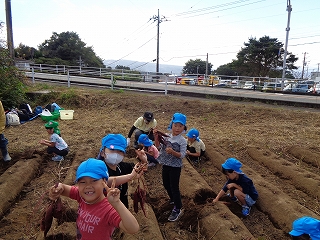 写真：どんぐり拾い
