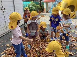 写真：落ち葉のシャワー