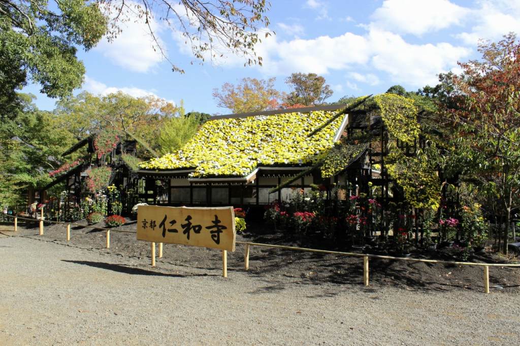 H31仁和寺　金堂