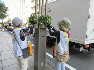 花サポ活動風景