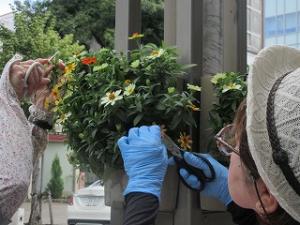 花サポ活動風景