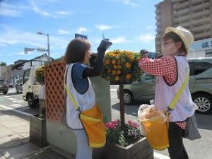 花サポ活動風景