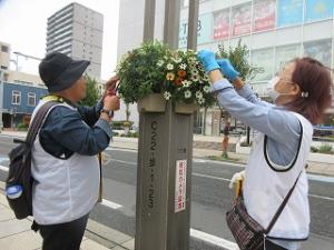花サポ活動風景