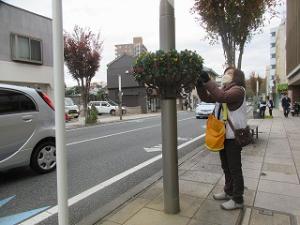 花サポ活動風景
