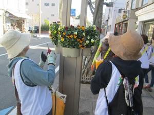 花サポ活動風景