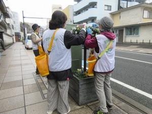 花サポ活動風景