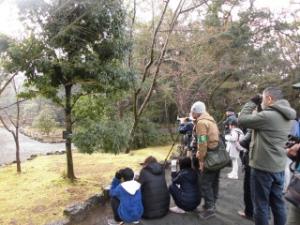 野鳥観察会過去の様子1