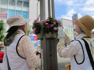 花サポ活動風景