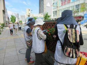 花サポ活動風景