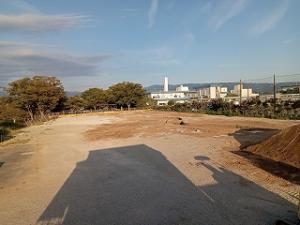 10月7日時点の風景