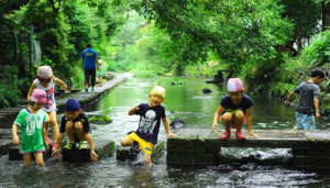 源兵衛川で遊ぶ子供の写真
