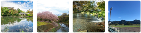 市内公園の写真