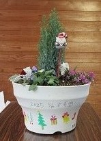 寄せ植え完成品