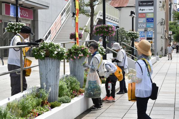花サポーターの作業
