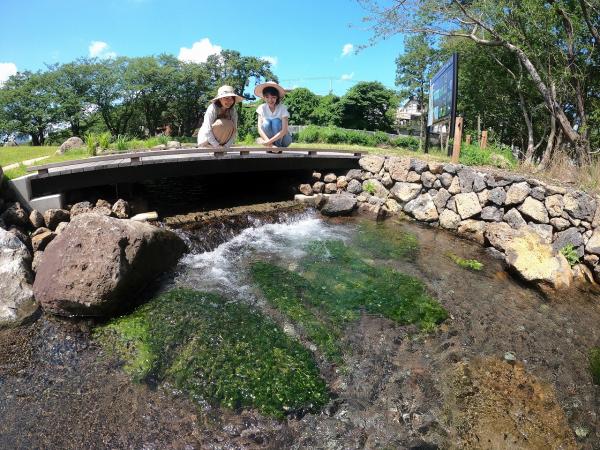 清住緑地で湧水を見る人物