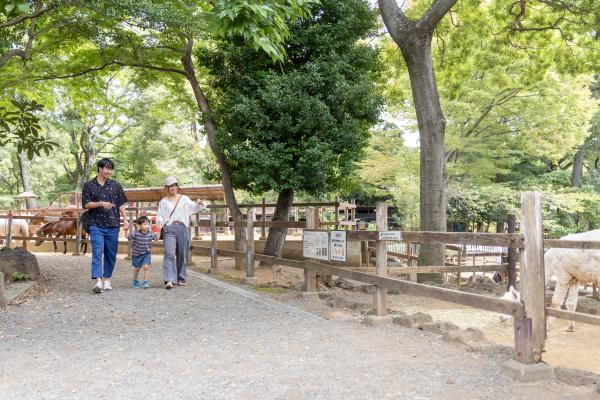 楽寿園内を散歩する親子