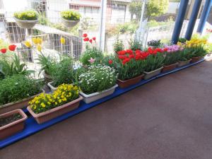 恵明キッズフヨウビレッジ