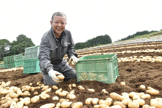 みしま馬鈴薯農家さんの写真