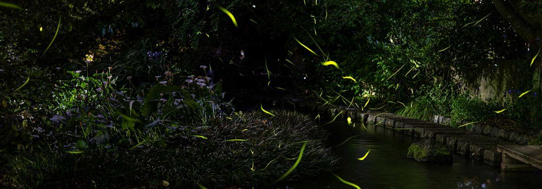 メイングラフック03