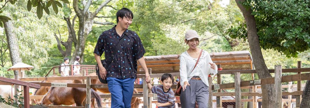 メイングラフック06