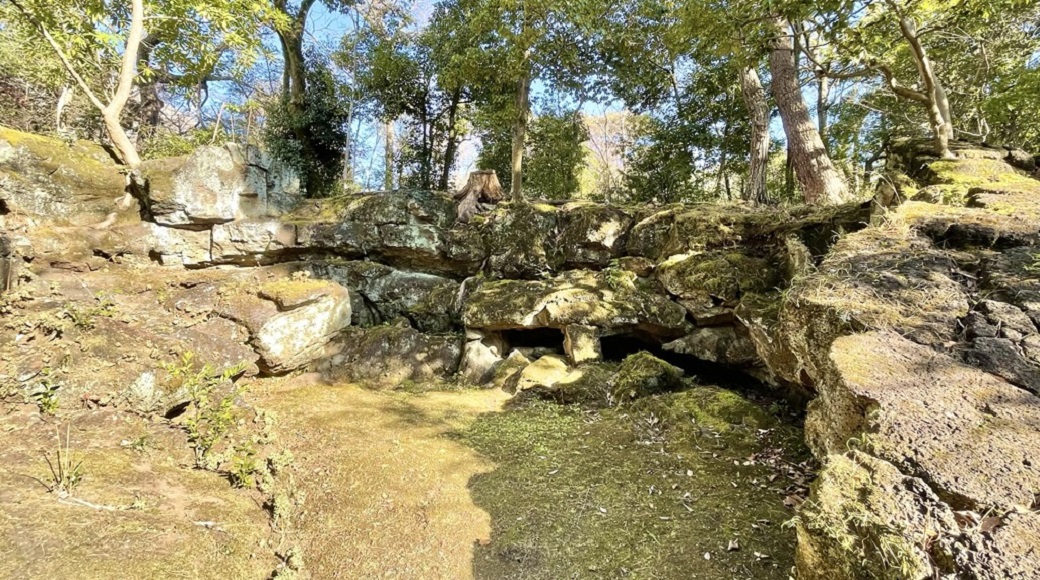溶岩塚の画像