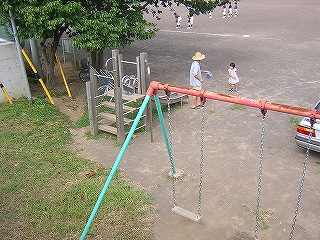 北沢公園の写真2