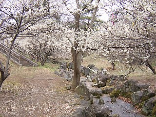 赤王山公園の写真2