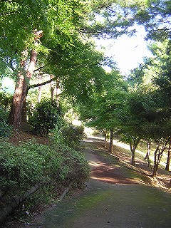 富士見台公園の写真3