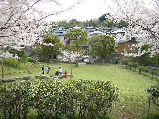 まるた公園の写真1